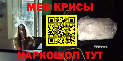 гашик Кингисепп