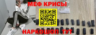 гашик Кингисепп