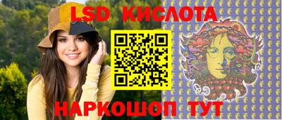гашик Кингисепп