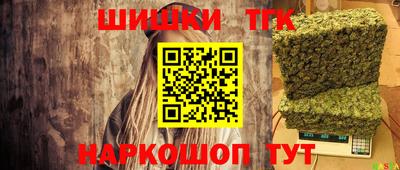 гашик Кингисепп