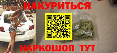 гашик Кингисепп