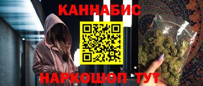 гашик Кингисепп