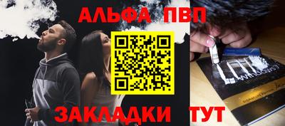 гашик Кингисепп