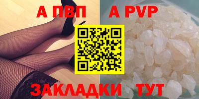 гашик Кингисепп