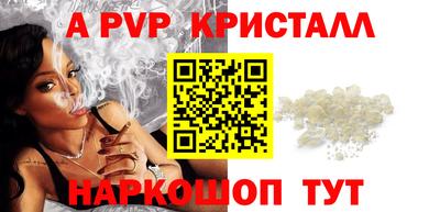 гашик Кингисепп