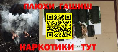 гашик Кингисепп