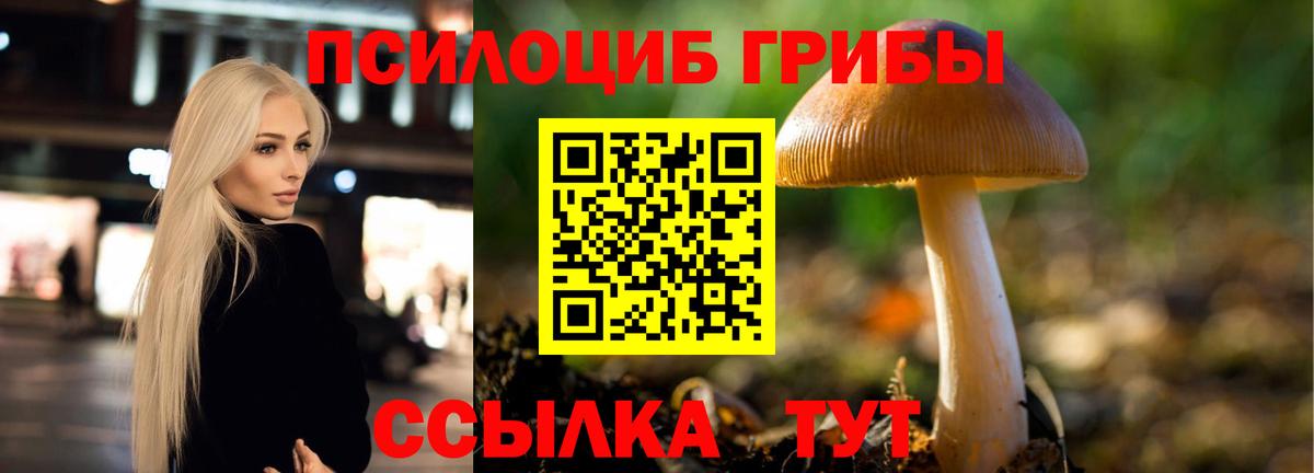 Псилоцибиновые грибы мухоморы  закладки  Вход с VPN  Владимир  Псилоцибиновые грибы прущие грибы 